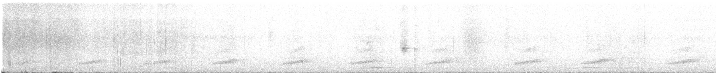 Little Spotted Kiwi - ML646257273