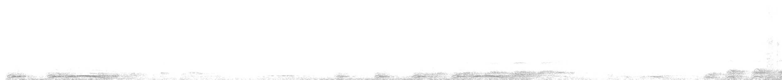 Barred Owl - ML646257358