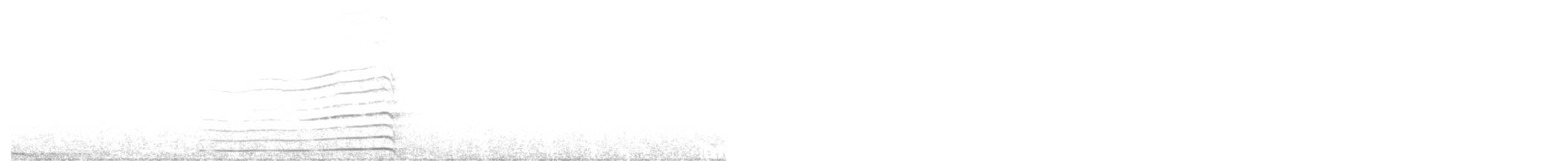 Barred Owl - ML646257359