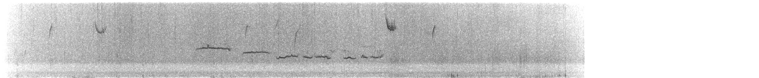 White-throated Sparrow - ML646257409