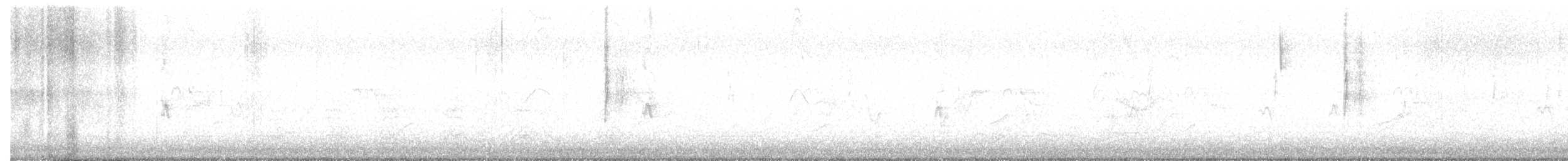 Yellow-rumped Warbler (Audubon's) - ML646257430