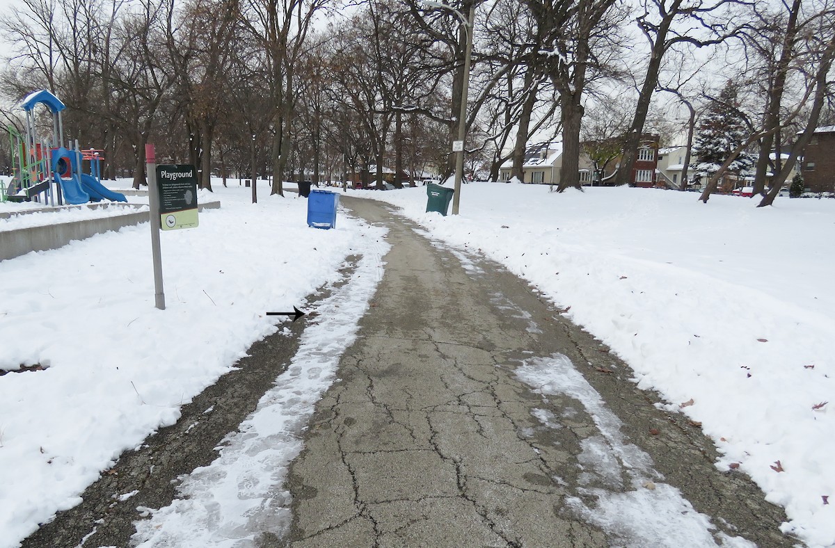 Spornammer - ML646257553