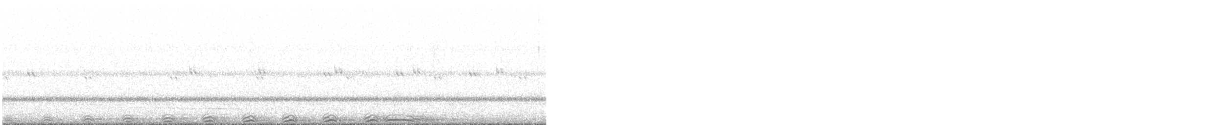 Streifenkauz - ML646257568