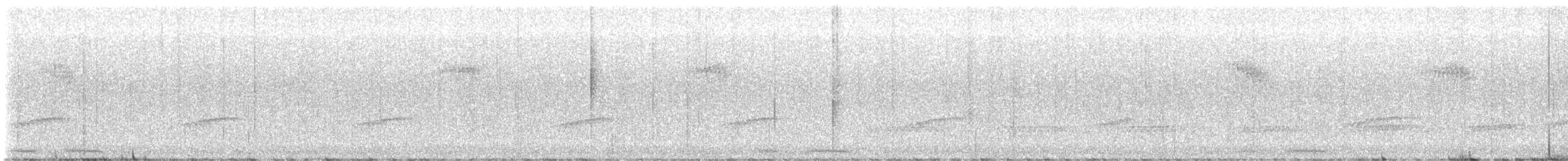 Little Spotted Kiwi - ML646257577