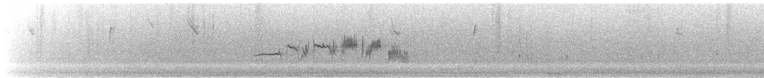 White-crowned Sparrow - ML646257606