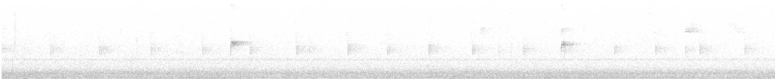 White-throated Sparrow - ML646257779