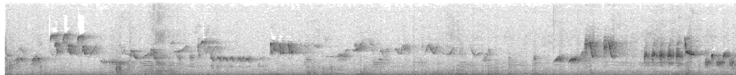 Australian Reed Warbler - ML646257851