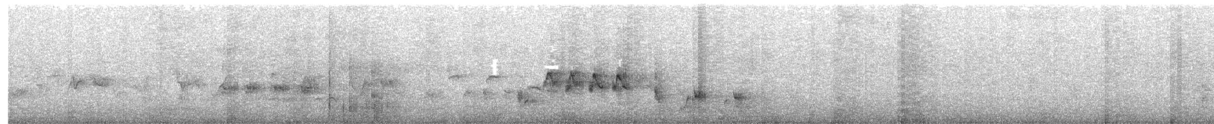 Australian Reed Warbler - ML646257852