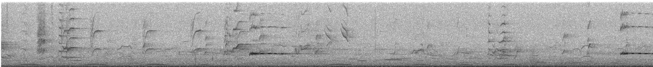 Crested Pigeon - ML646258001