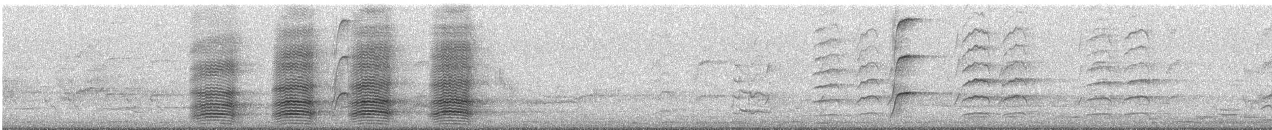 Little Raven - ML646258021