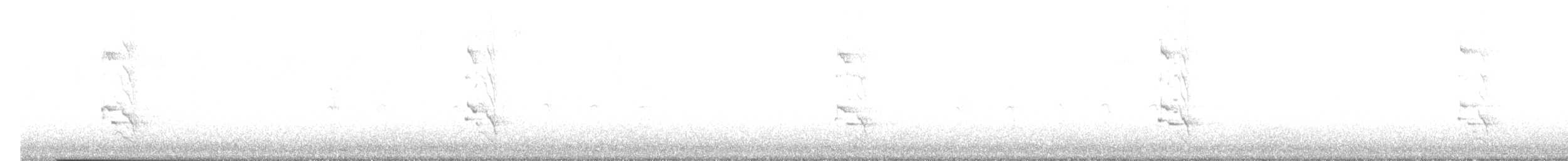 Northern Flicker (Red-shafted) - ML646258268