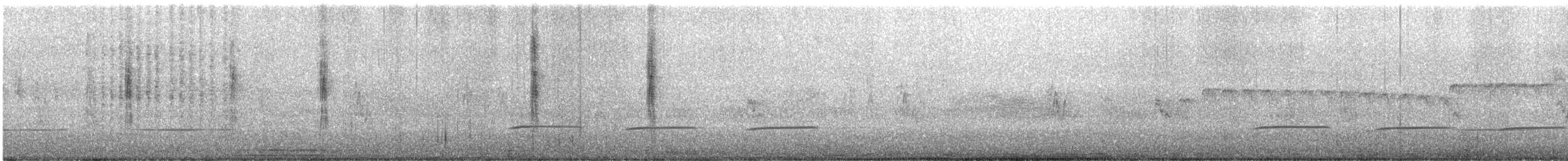 Mégalure menue - ML646258315