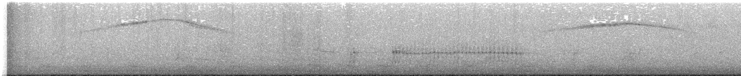 Costa's Hummingbird - ML646258503