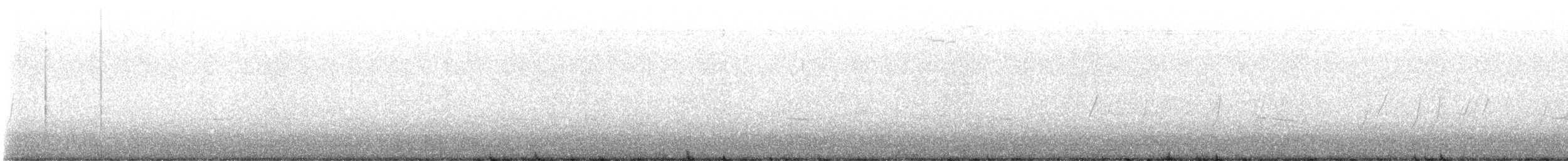 Cave Swallow - ML646258628