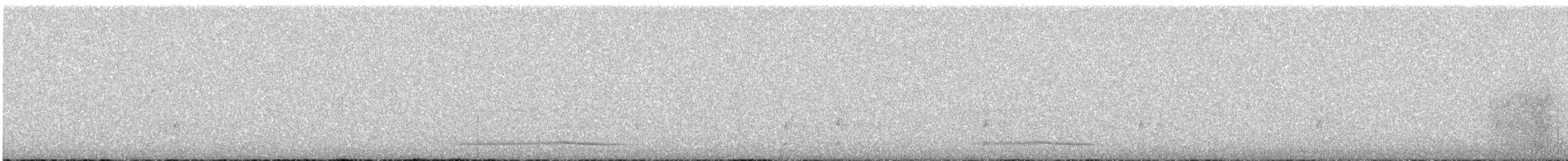 passerine sp. - ML646258688