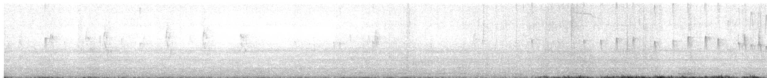 Sicksegler - ML646258908