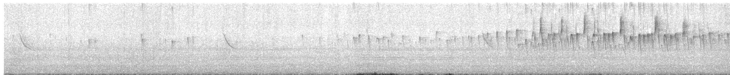 Sicksegler - ML646258910