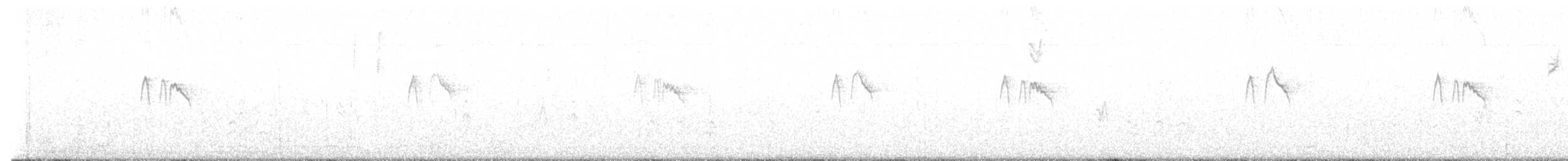 Schwarzkopf-Phoebetyrann - ML646259468