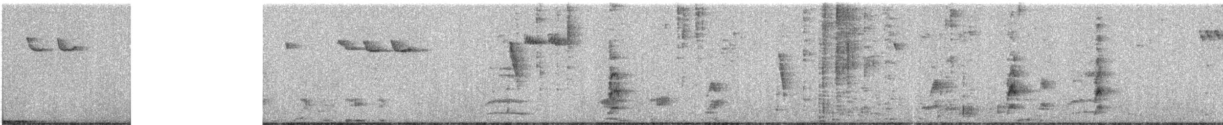 Amerikabaumläufer - ML646259961