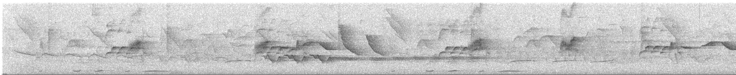 Weintaube - ML646260238