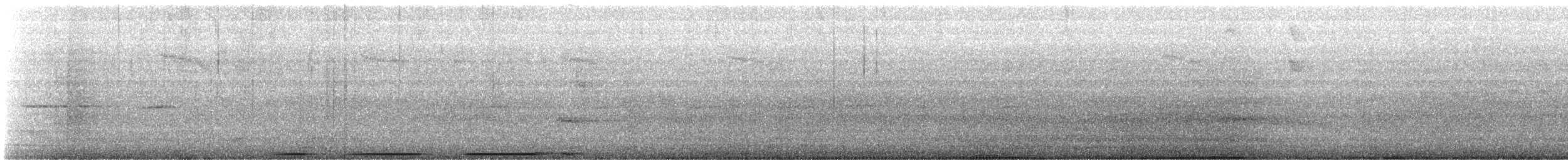 Perutaube - ML646260635