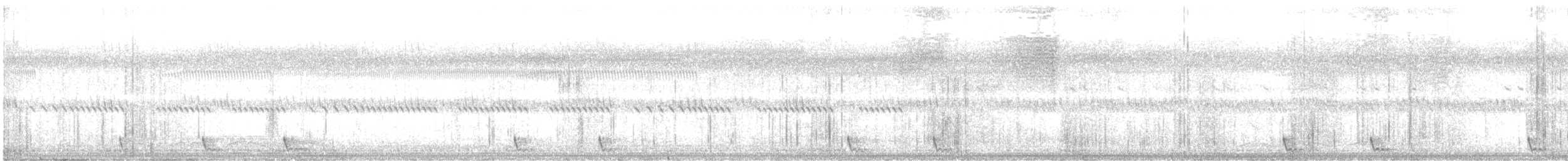 Nachtschwalbe, unbestimmt - ML646261364
