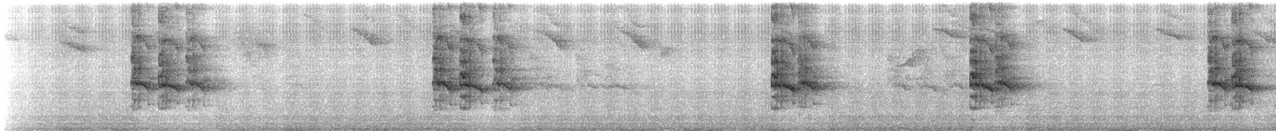 Plain Parakeet - ML646262050