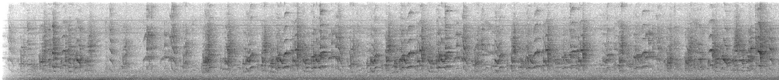 Plain Parakeet - ML646262051