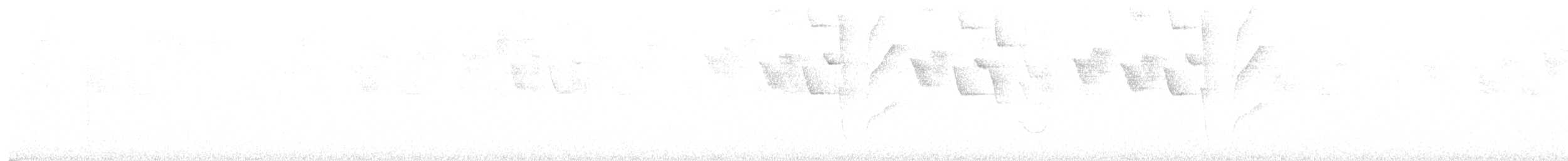 Streak-throated Hermit - ML646262780