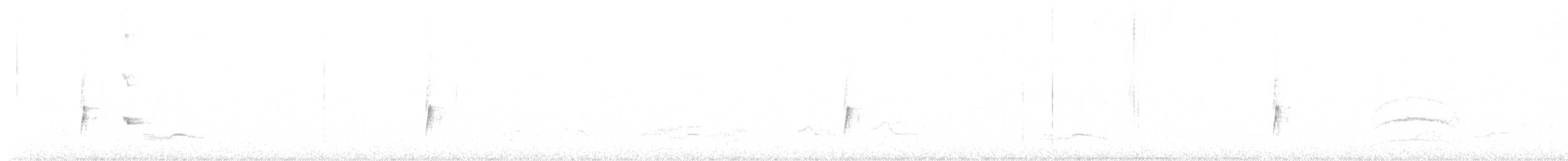 Amazonian Tyrannulet - ML646262995