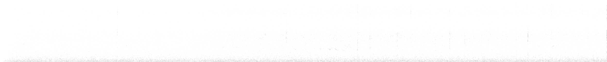 Pale-bellied Tyrant-Manakin - ML646263097