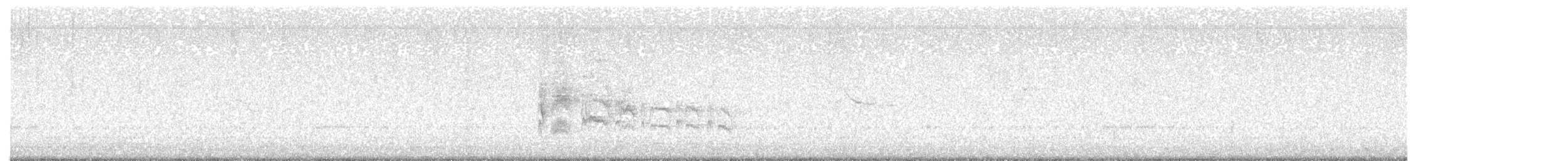 ハシボソタイランチョウ - ML646263259