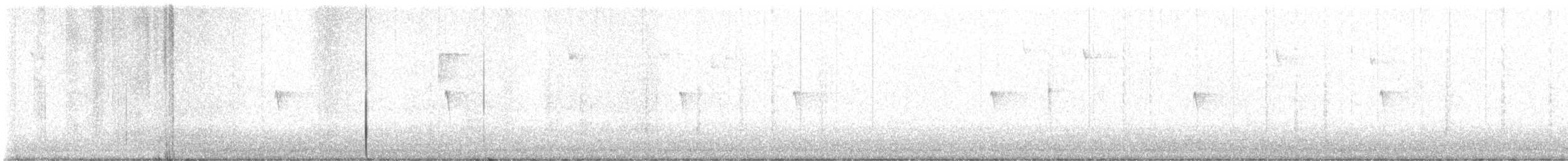 Weißbauch-Phoebetyrann - ML646263403