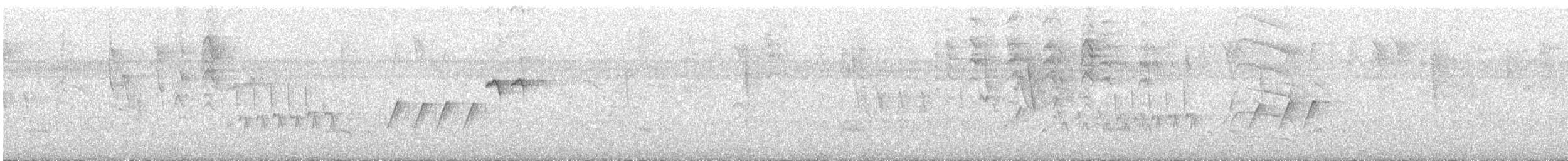 Chochín Criollo Sureño - ML646263747