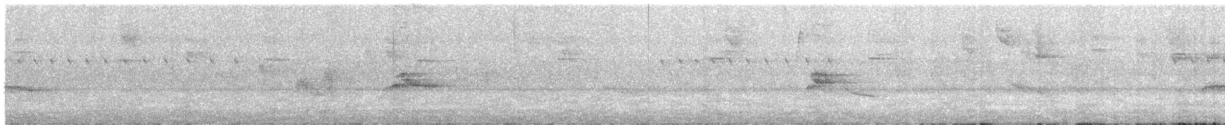 Piratic Flycatcher - ML646264069