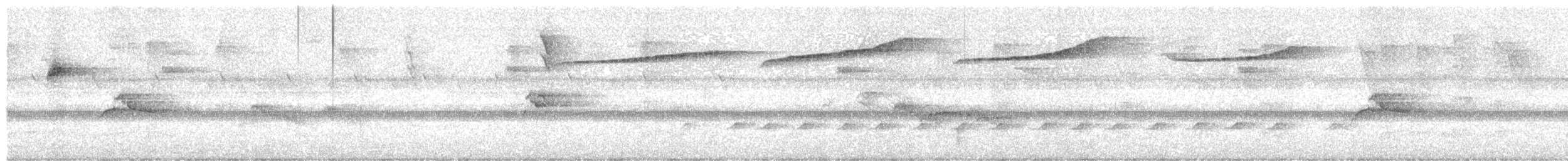 Piratic Flycatcher - ML646264070