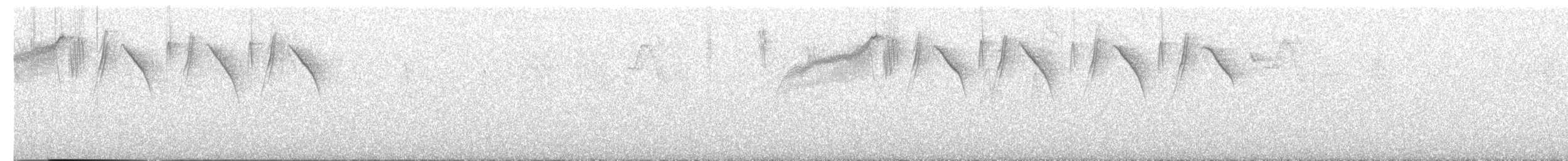 Банановая кареба, сахарная цветочница - ML646264073