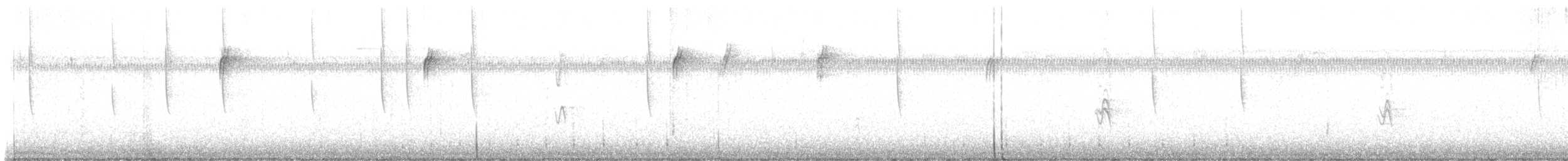 フトオハチドリ - ML646264091