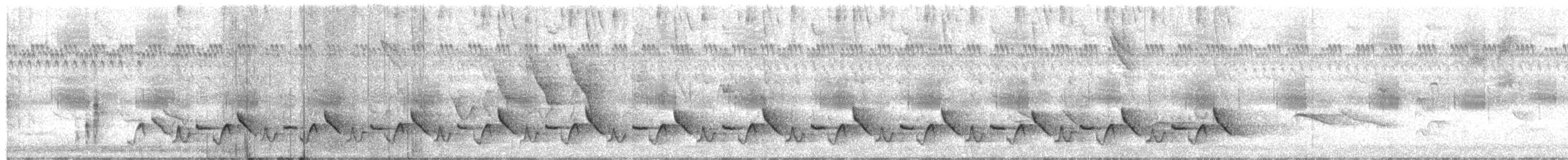 Buff-breasted Wren - ML646264121