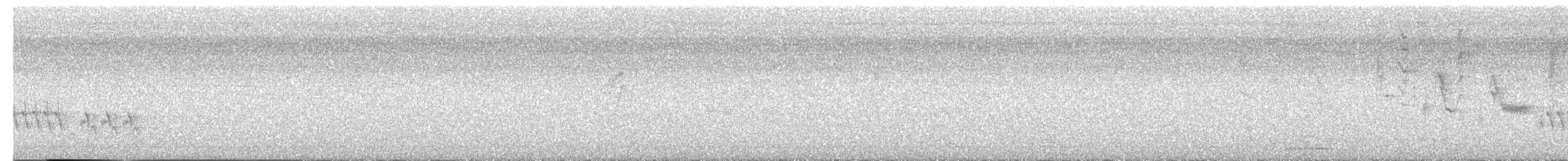 Southern House Wren - ML646264213