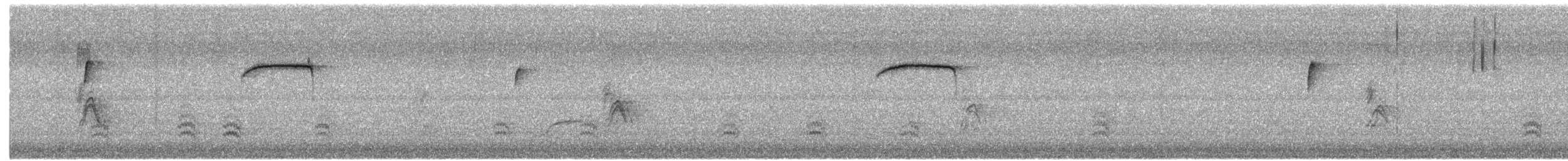 Cedar Waxwing - ML646264615