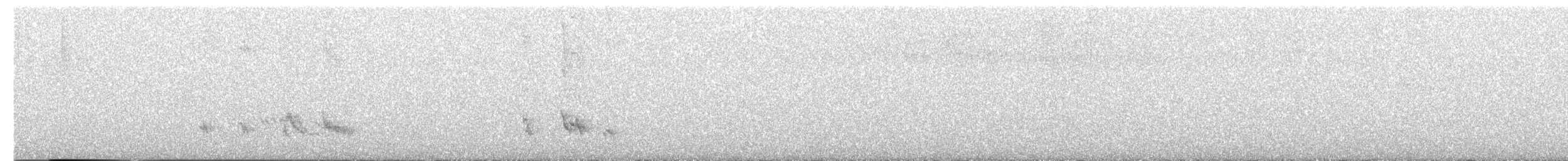 Tropical Mockingbird - ML646264775