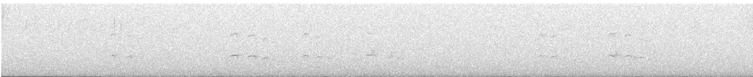 Pale-tipped Tyrannulet - ML646264900