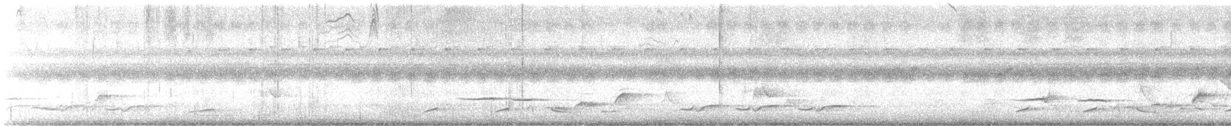 White-rumped Shama - ML646264960