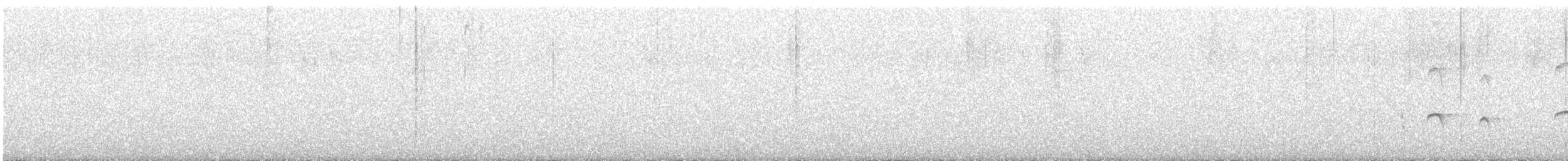 Pale-tipped Tyrannulet - ML646264997