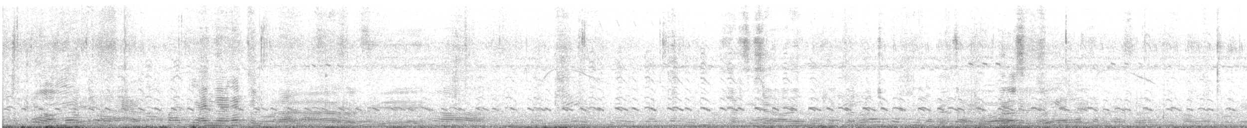 dytík dvoupruhý - ML646265163