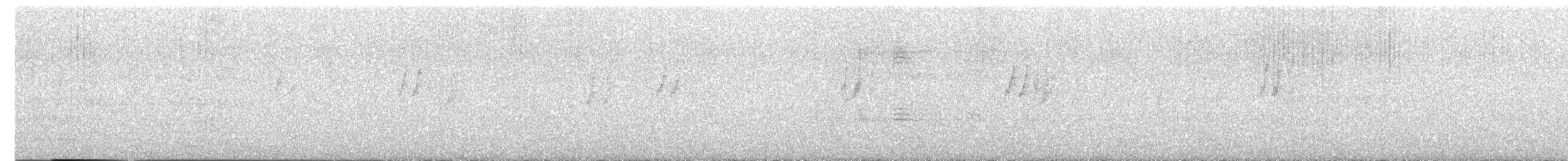 papoušíček vrabčí - ML646265216