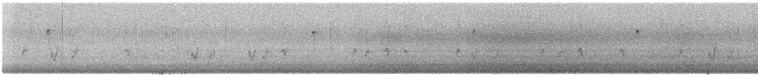 hýl rudoprsý - ML646265224