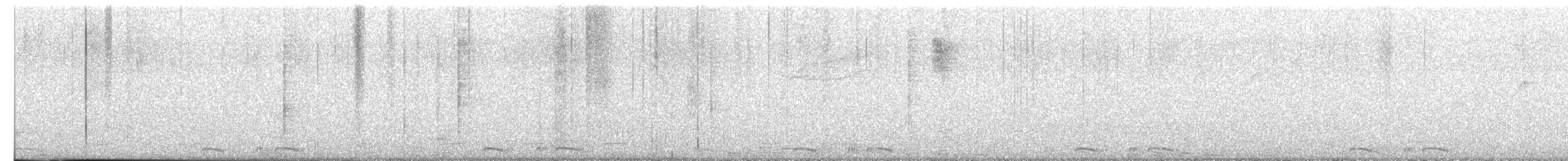 holoubek šupinkový - ML646265319