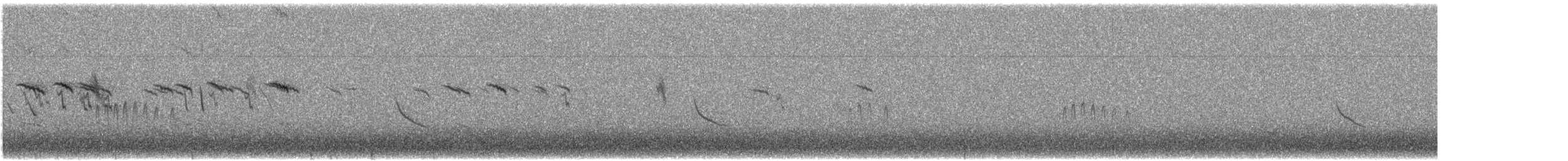 sněhule severní - ML646265390